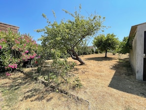 A dry, grassy area with trees and shrubs, a building with a sloped roof, and a clear blue sky. - La Govogne Cottage: 200 m from the beach, large garden, La Plaine-sur-Mer (La Plaine-sur-Mer)