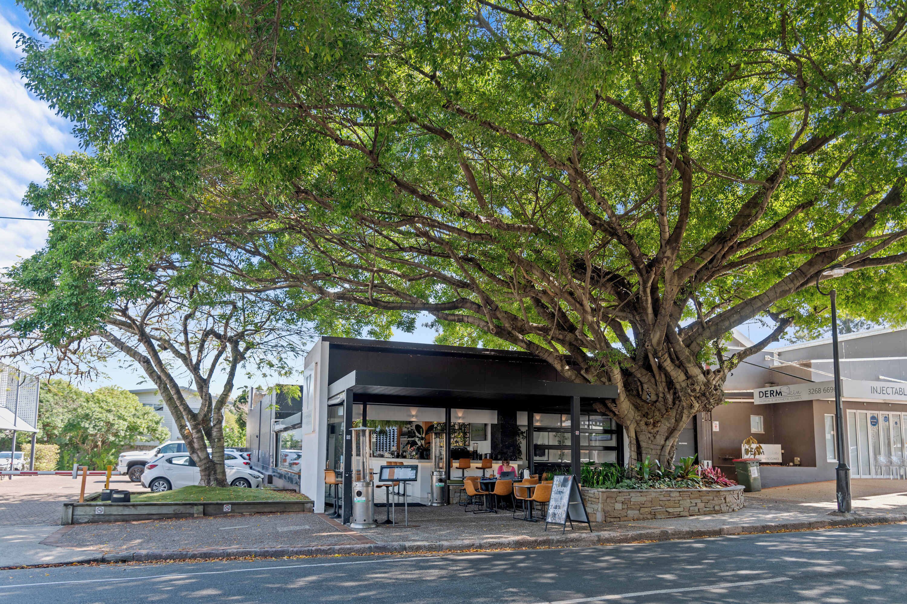 A modern building with a covered outdoor seating area, a large tree in front, and a parked car nearby.