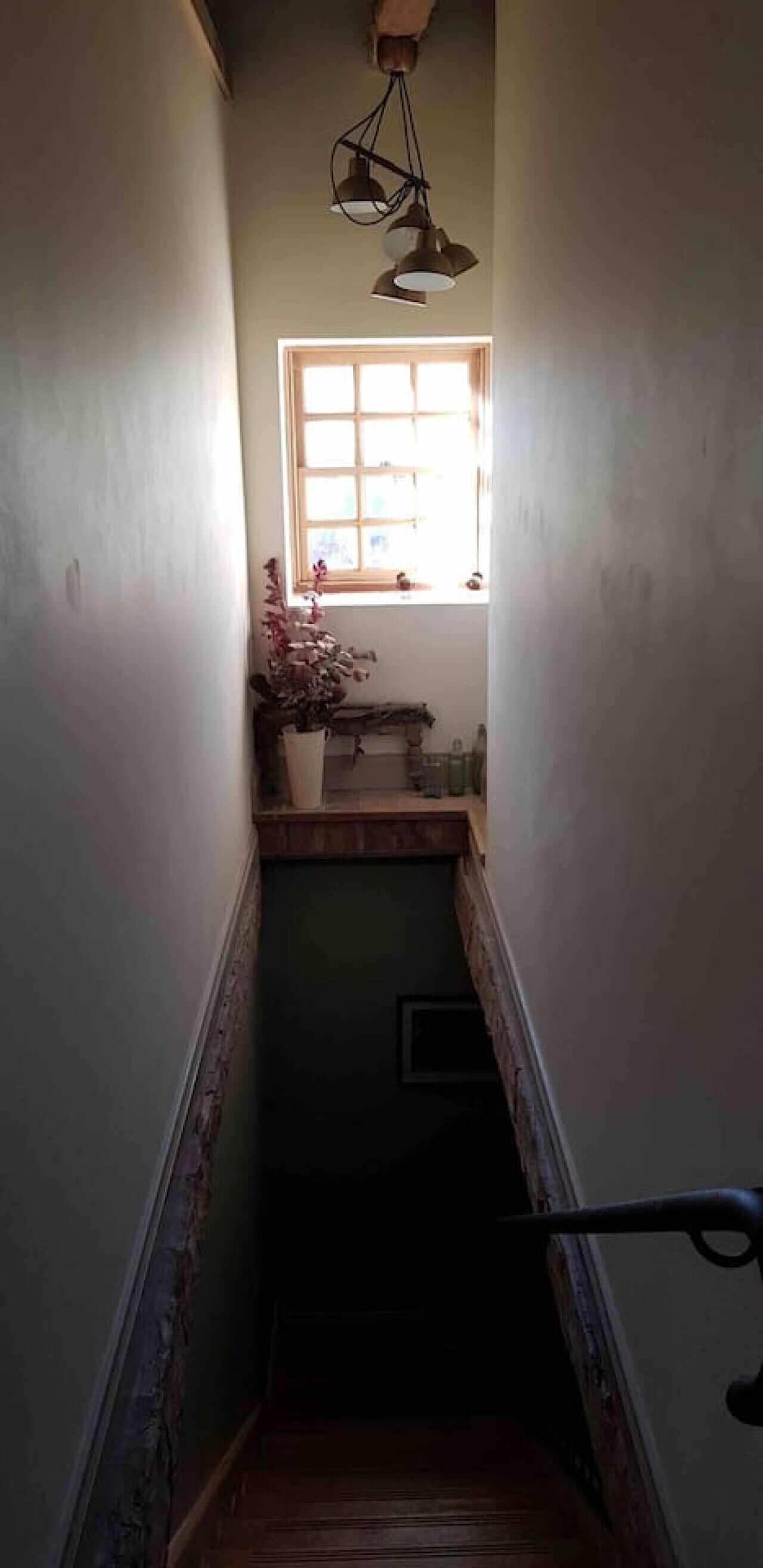 A narrow stairway with a window at the top, a potted plant, and a small table with items on it.
