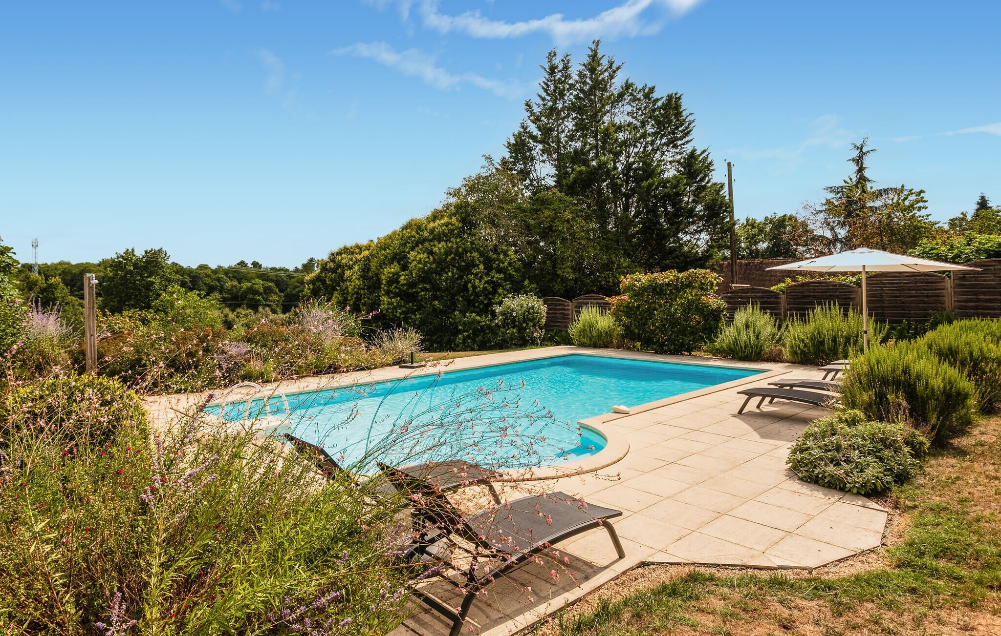 A rectangular swimming pool with a tiled deck, surrounded by lush greenery and a wooden fence.