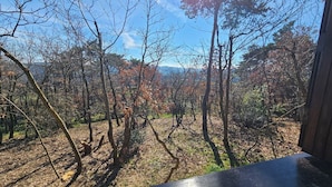 Vista de varanda com vista para uma área arborizada, com árvores sem folhas e céu claro.