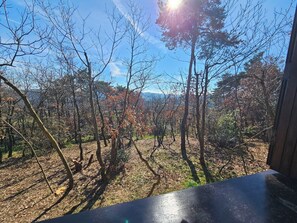 Uitzicht vanaf een balkon op een bebost gebied met kale bomen en een heldere lucht.