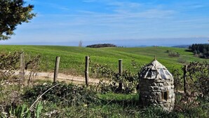 Paisagem rural com uma construção de pedra, possivelmente um poço ou abrigo de poço, cercada por uma cerca de madeira e vegetação exuberante.