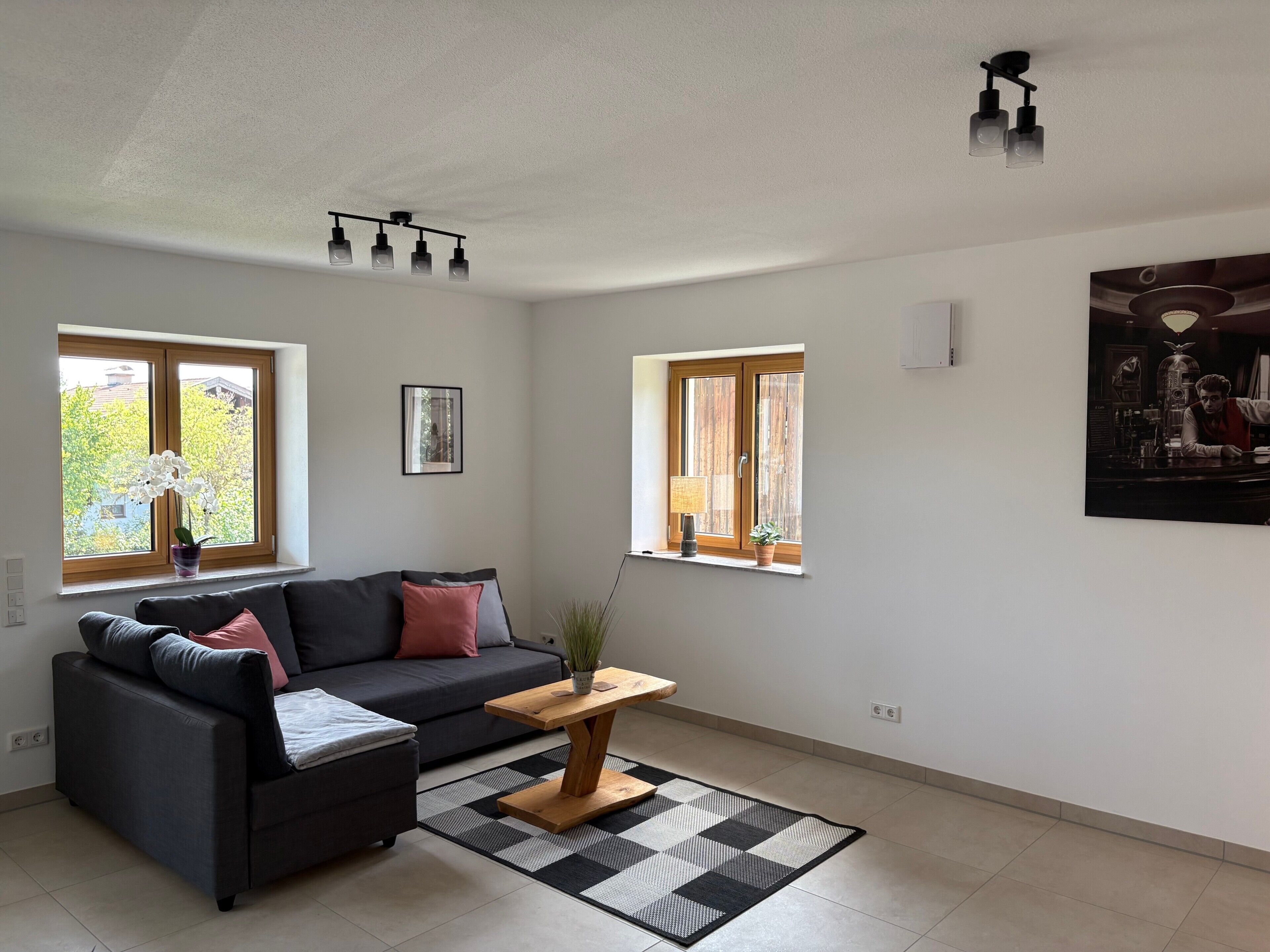 A modern living room with a sofa, a coffee table, and a rug. There are windows with views of greenery and a framed picture on the wall.