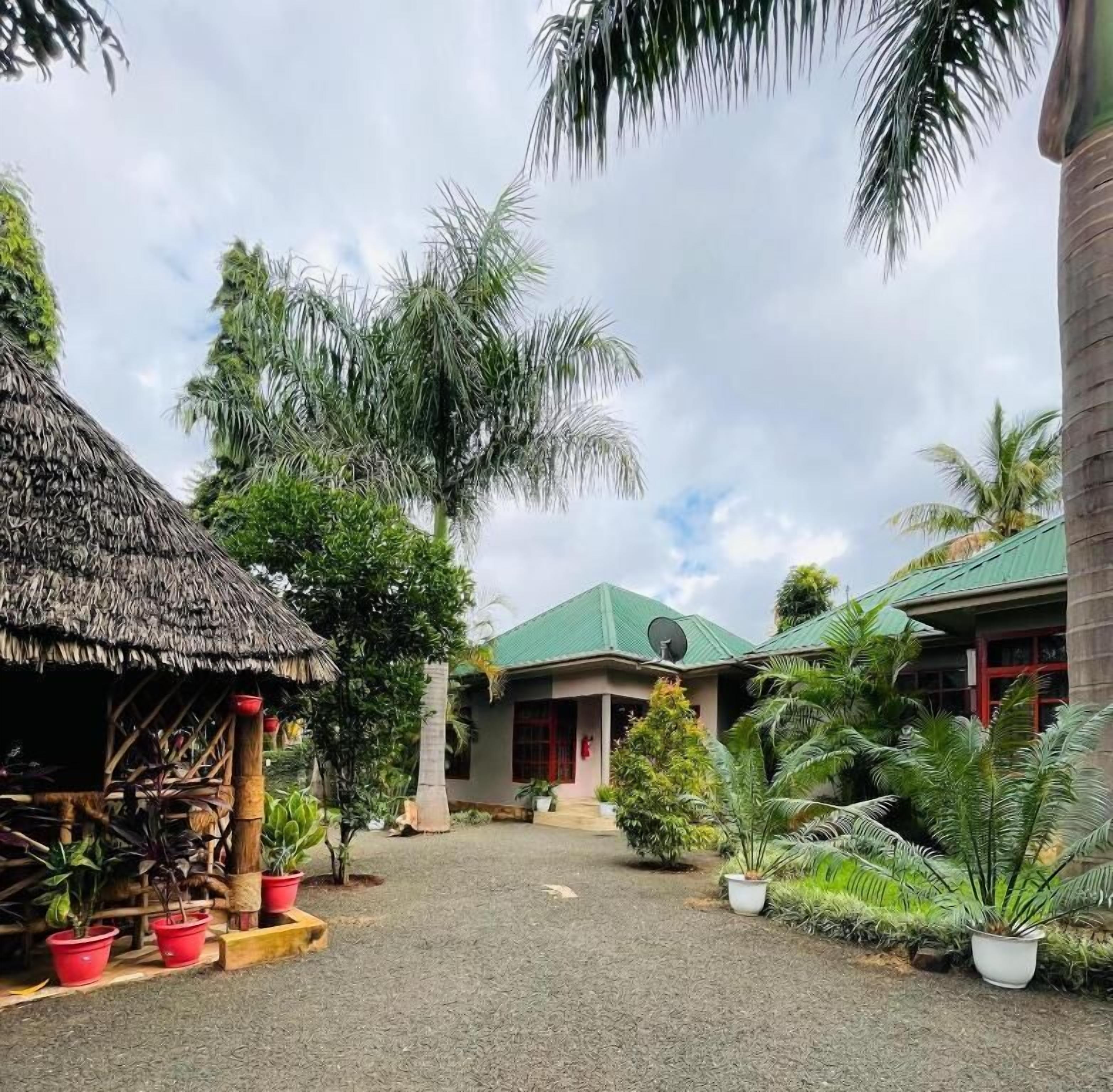 A courtyard with a thatched-roof structure, a building with a green roof, and potted plants.