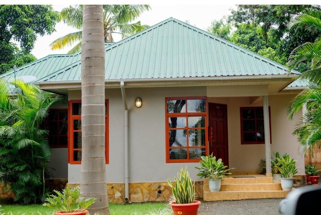 A single-story house with a green metal roof, a front porch with steps, and potted plants.
