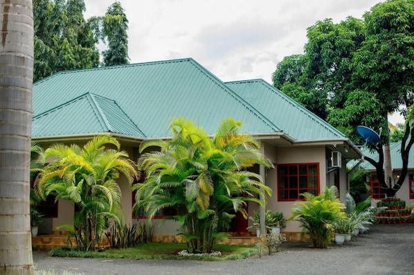 A building with a green roof, surrounded by palm trees and other greenery.
