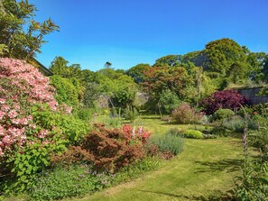 Un jardin où l’on trouve une grande variété de plantes, sous un ciel dégagé.