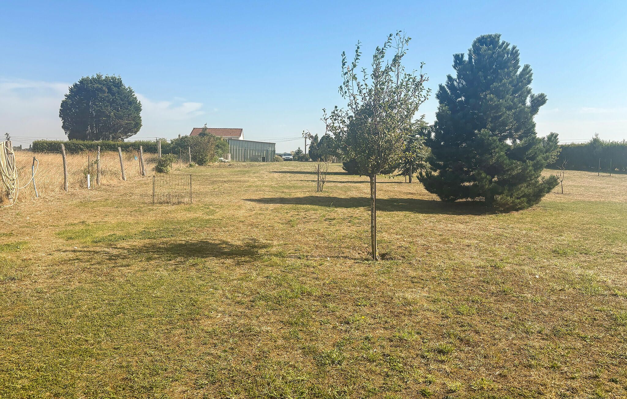 A grassy field with several trees and a building in the background.