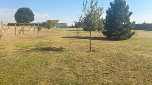 Un campo cubierto de hierba con varios árboles y un edificio al fondo.