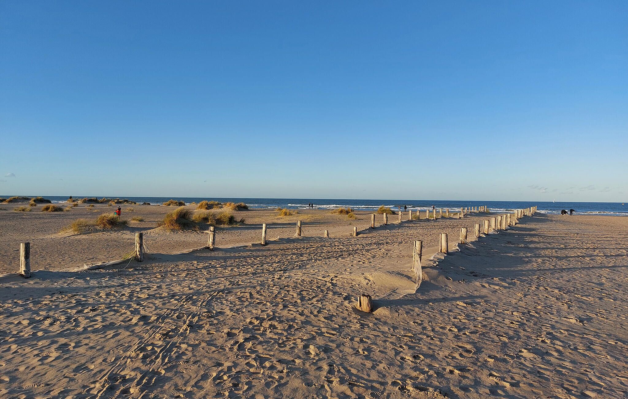 A sandy beach with wooden posts and footprints.