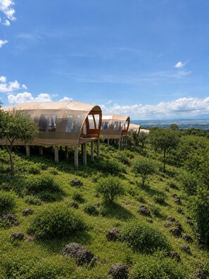 A series of tents with attached wooden chairs, set on a grassy hill with a view of distant mountains. - Africa Safari Manyara Migombani (Lake Manyara National Park)