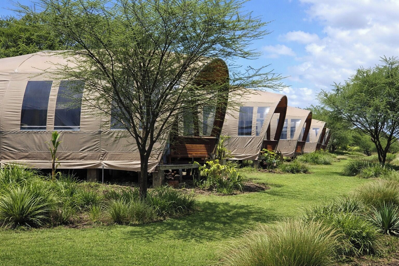 A row of dome-shaped tents with windows, surrounded by greenery and trees.