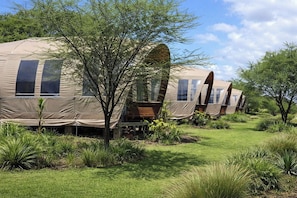 A row of dome-shaped tents with windows, surrounded by greenery and trees. - Africa Safari Manyara Migombani (mto wa mbu)
