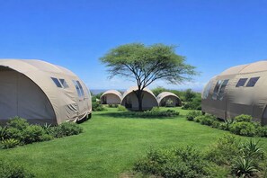 A row of dome-shaped tents with a central tree, surrounded by a well-maintained lawn. - Africa Safari Manyara Migombani (Lake Manyara National Park)