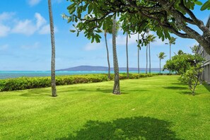 A well-maintained lawn with palm trees and a view of the ocean. - Private Oceanfront Escape on Moloka'i's East End (Kaunakakai)