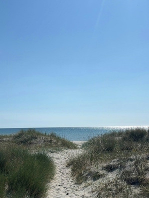 Ein sandiger Pfad führt zum Strand, begleitet von Dünen an beiden Seiten.