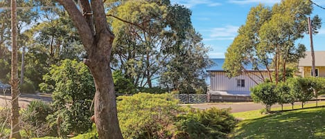 A residential area with a large tree, a grassy lawn, and a house with a metal gate.