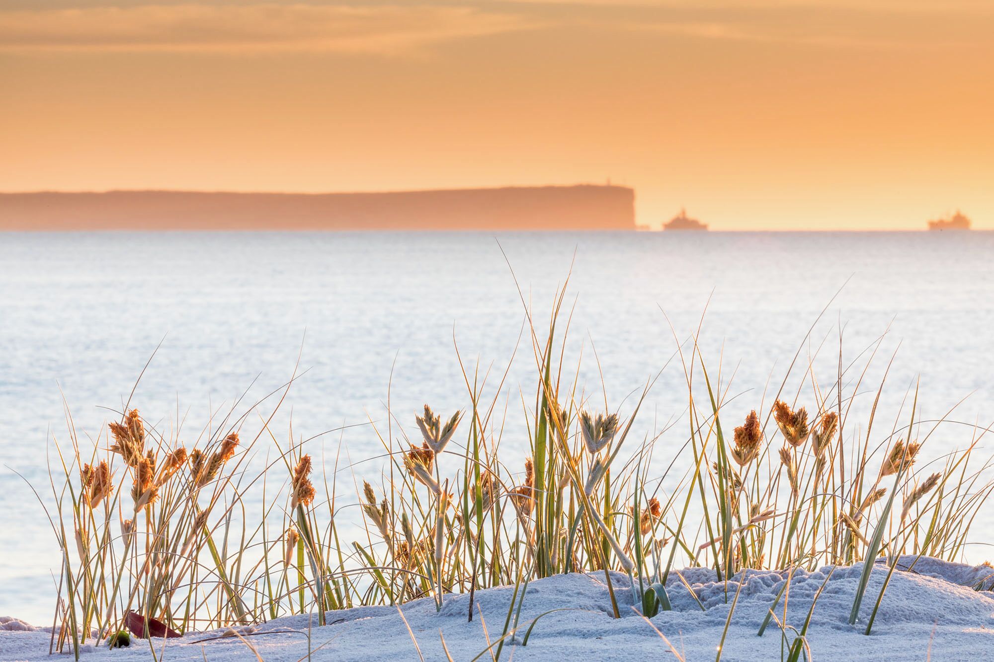 Un paysage enneigé avec de l’herbe au premier plan et une étendue d’eau en arrière-plan.