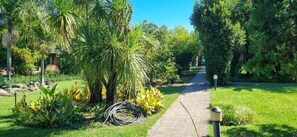 A garden pathway with various plants and a small building in the background. - Thornycroft Lodge & Spa KuGompo (KuGompo City)