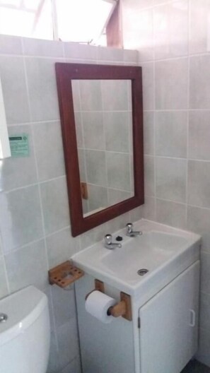 Un bagno con un lavandino bianco, uno specchio con cornice in legno e un water.