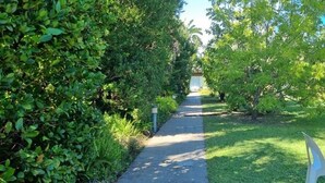 Un sentier bordé d’une végétation luxuriante, qui mène à un bâtiment situé au loin.