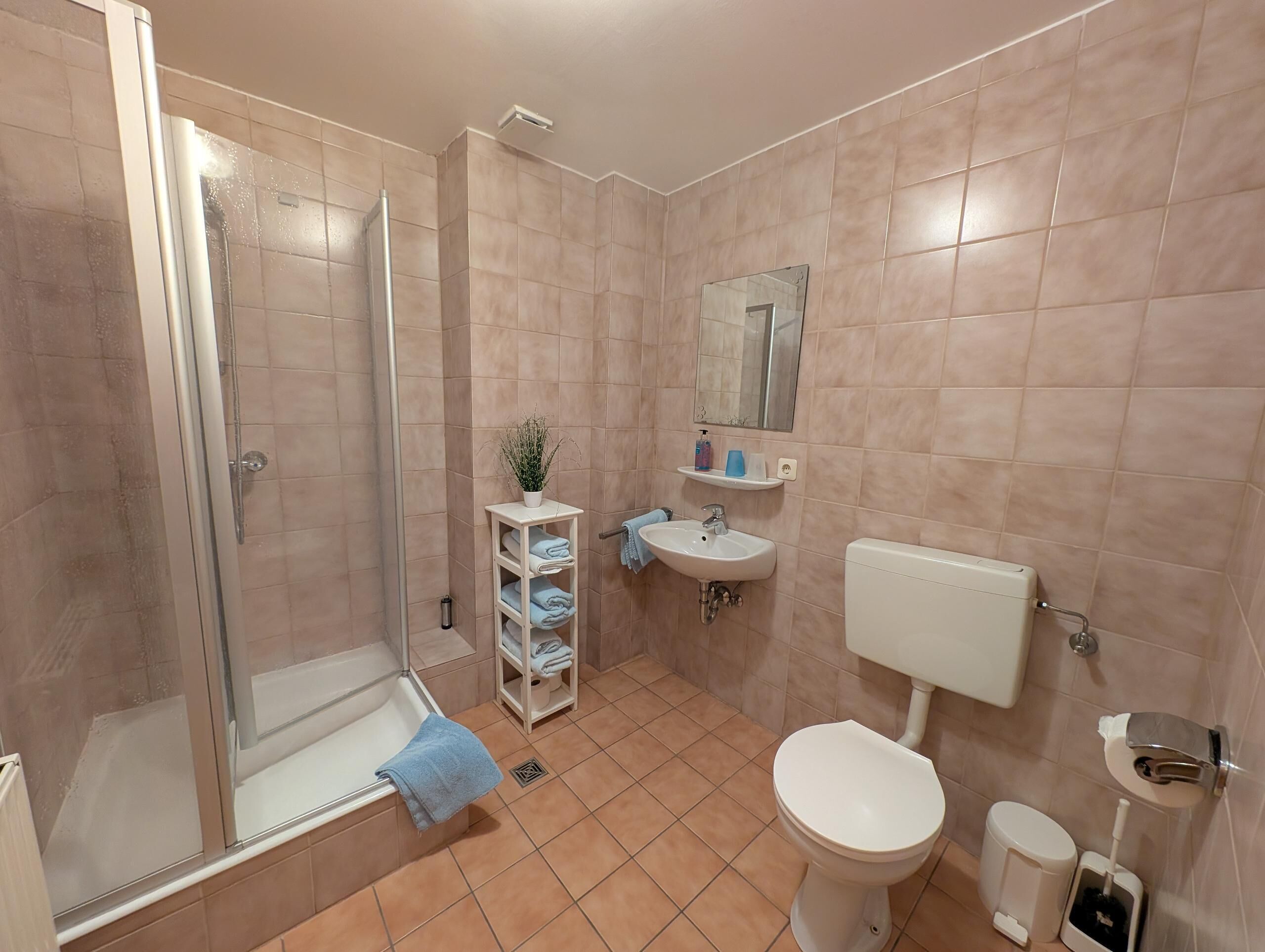 A bathroom with a shower, toilet, sink, and a mirror.
