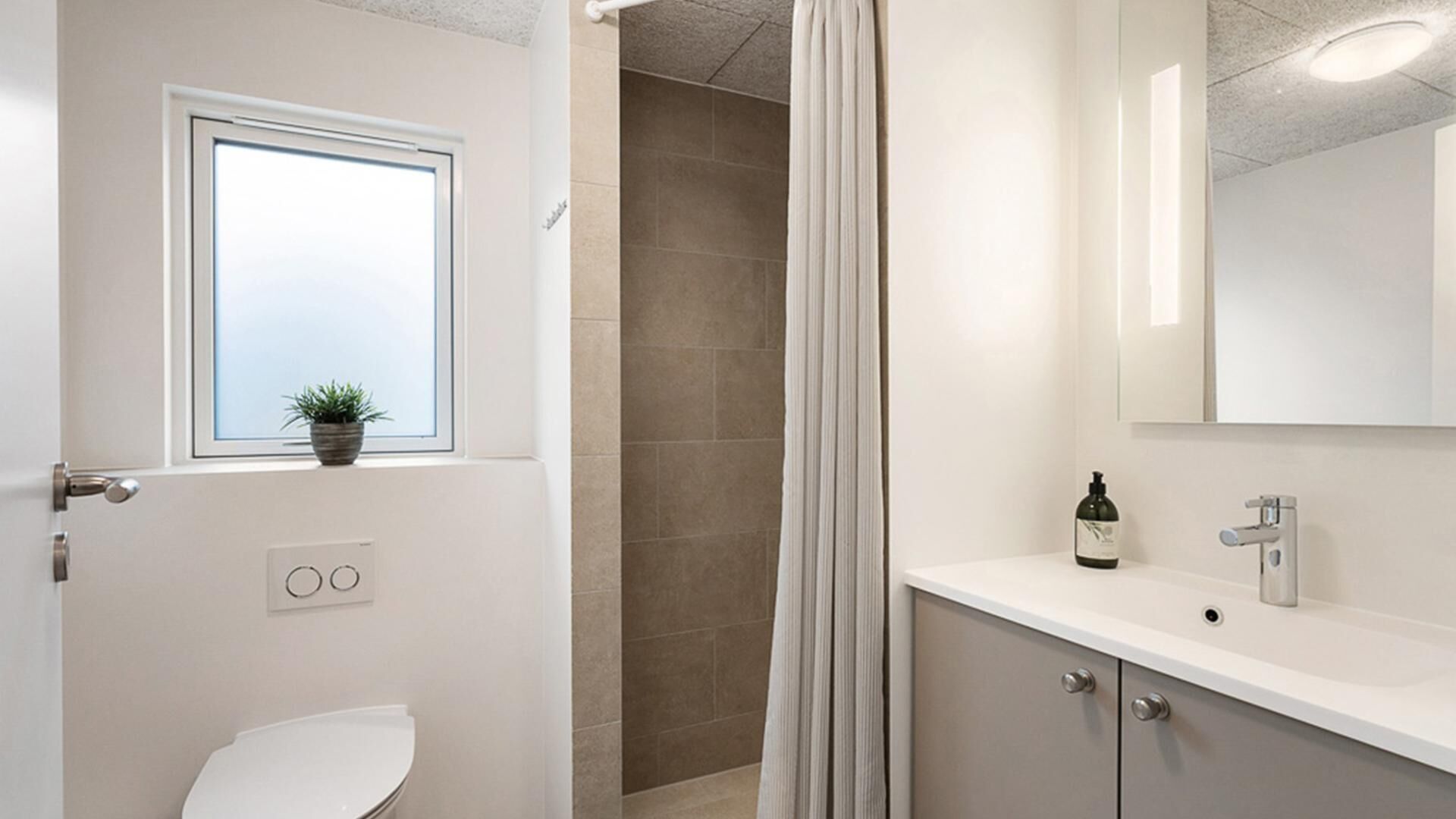 Een badkamer met toilet, een raam met plant, douchegedeelte en een wastafel met spiegel.