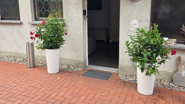 Un bâtiment avec un toit recouvert de tuiles, une porte et deux plantes en pot ornées de fleurs rouges.