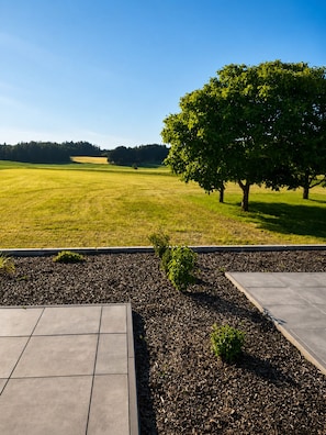A landscaped outdoor area with a paved walkway, a tree, and a grassy field.