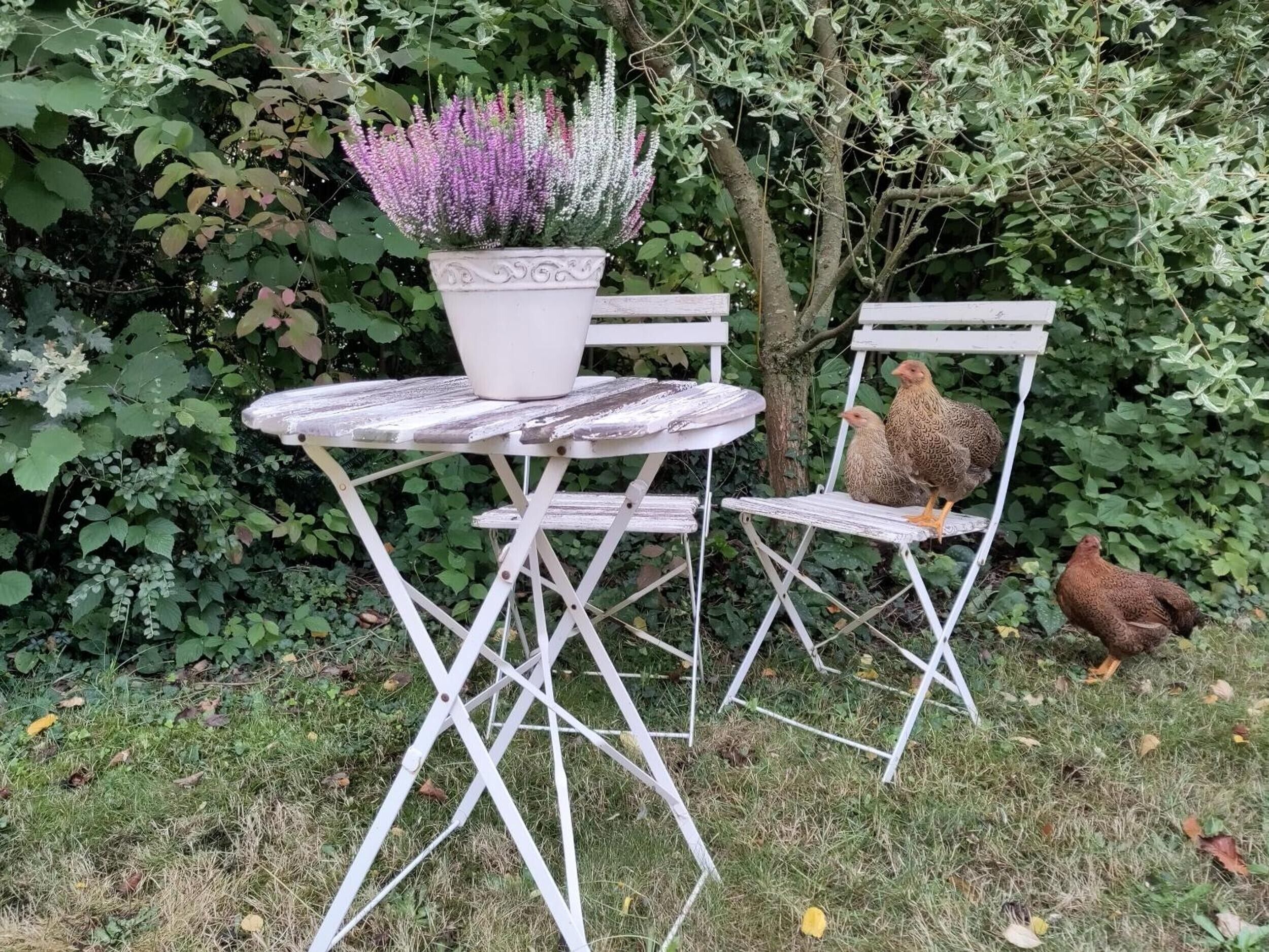 Ein weißes Tisch- und Stuhlgarnitur mit einem Blumentopf in der Mitte.