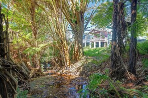 Un sendero que conduce a un edificio rodeado de follaje y árboles densos.