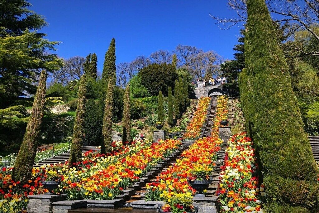 A garden with a stone staircase surrounded by vibrant flowers and tall trees.