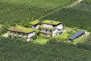 Ein Wohnhaus mit Garage, umgeben von einem Weinberg.