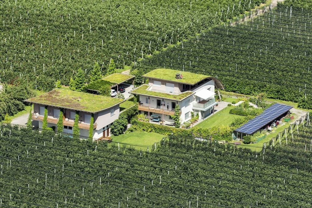 A modern house with a green roof, surrounded by a vineyard.
