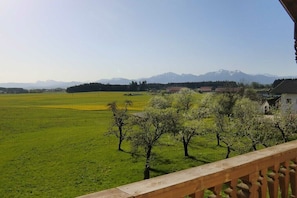 Uitzicht vanaf een balkon over een groen veld met bomen en een bergketen in de verte.