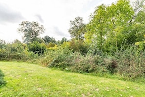 A grassy area with dense shrubbery and trees. - Holiday Village 39 B (Boltenhagen)