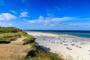 A beach with rows of beach chairs and umbrellas, a clear sky, and a grassy area leading to the water. - House section Heideblick (Kampen)