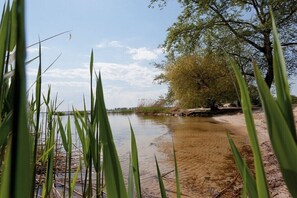 A natural landscape with a body of water, trees, and vegetation. - Holiday apartment with 1 bedroom (Usedom)