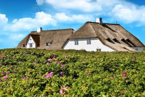 Een huis met rieten dak en witte muren, omgeven door een tuin met roze bloemen.