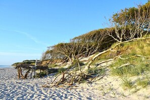 Een zandstrand met verspreid drijfhout en schaarse begroeiing.