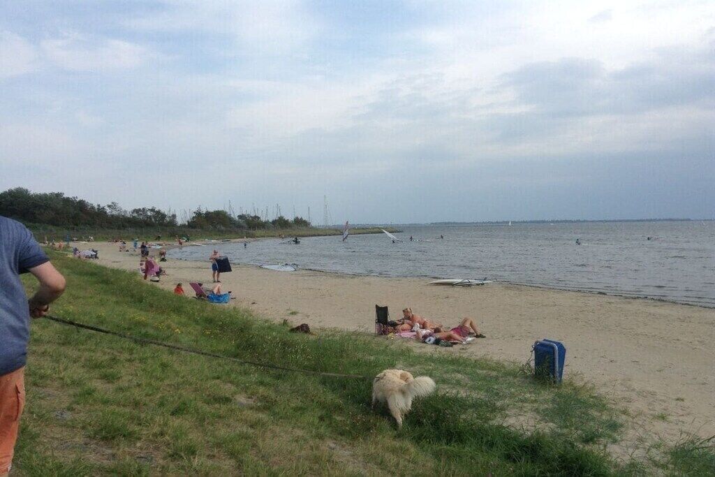 A beach with people sunbathing and swimming, a grassy area with a dog, and a distant view of the sea.