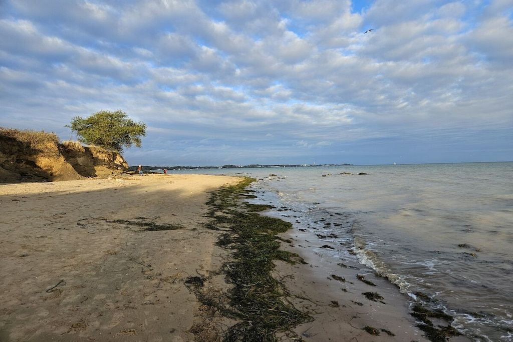 A beach with a sandy shore, a tree, and a calm sea under a partly cloudy sky.