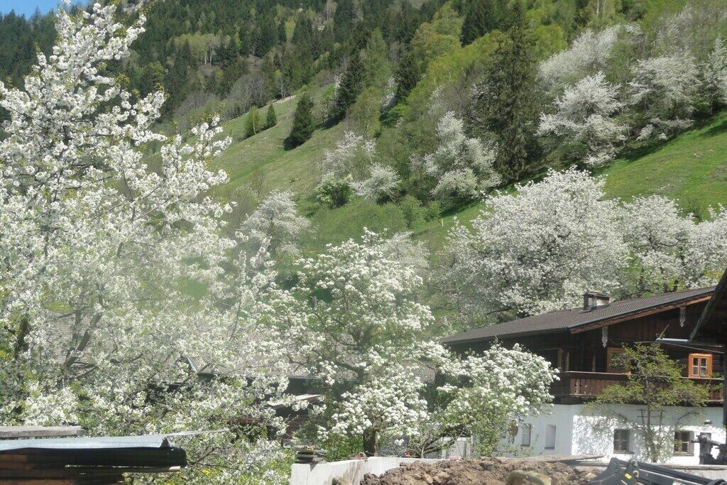 منوع