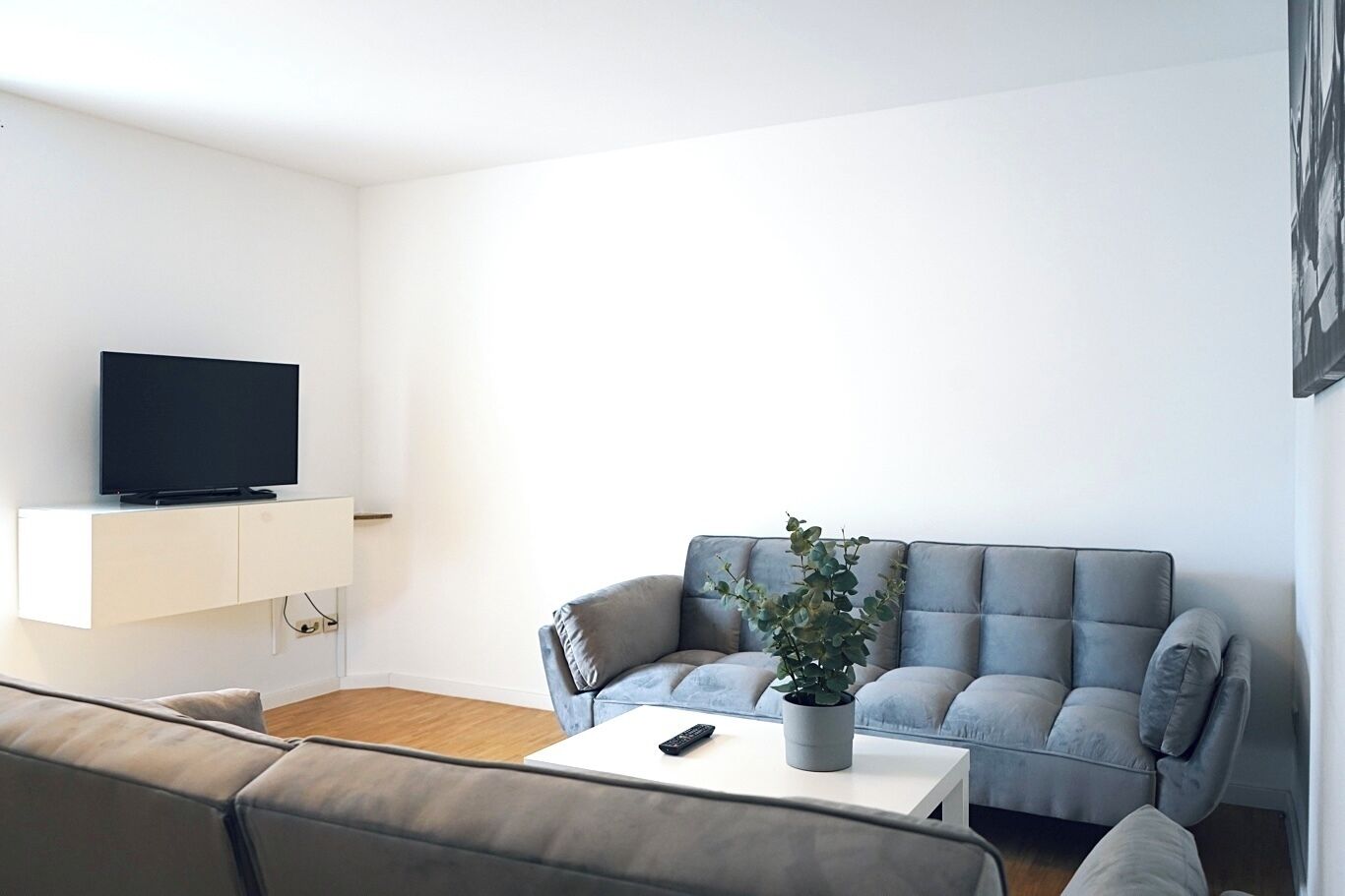 A modern living room with a grey sofa, a white coffee table, a flat-screen TV on a white cabinet, and a potted plant.