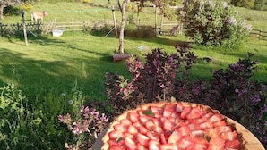 Una tarta de fresas sobre una tabla de madera en un jardín con una valla y árboles al fondo.