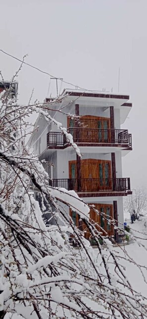 Un immeuble à plusieurs étages doté de balcons, entouré d’arbres couverts de neige.