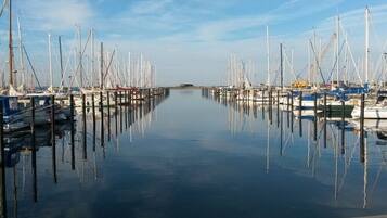 A marina with multiple boats docked at piers, calm water, and a clear sky.