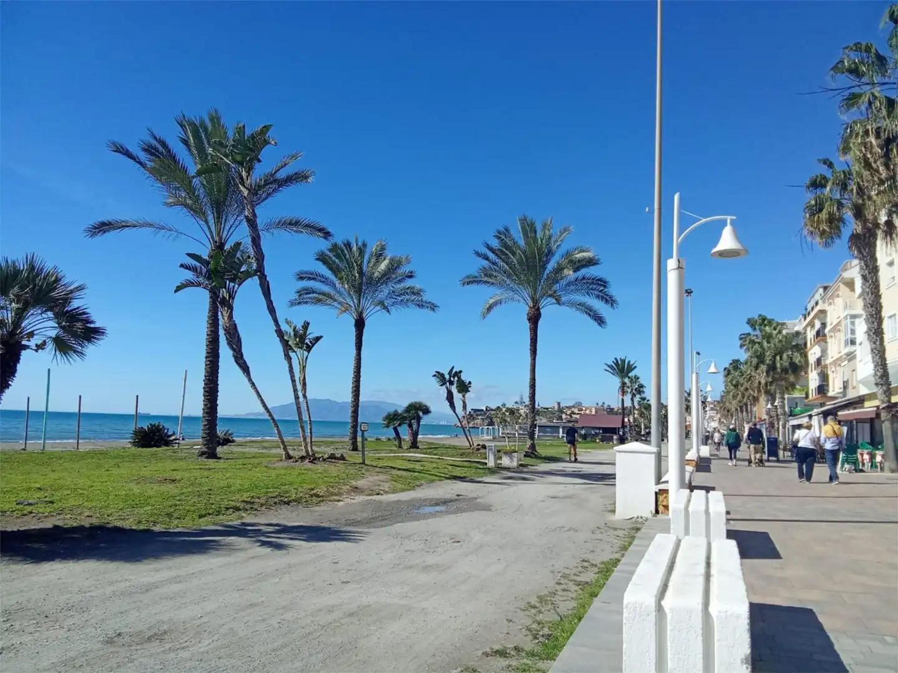 Un paseo marítimo con palmeras, cielo despejado y vista al mar.