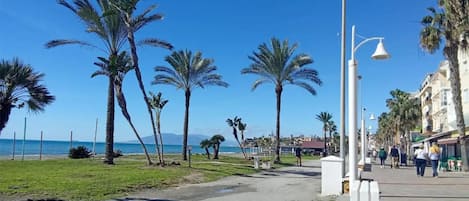 Un paseo marítimo con palmeras, cielo despejado y vista al mar.